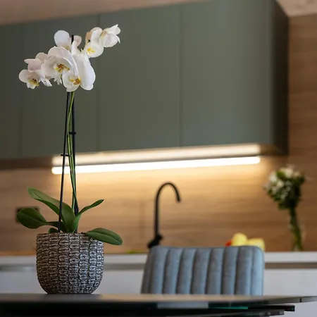House Hana 2415